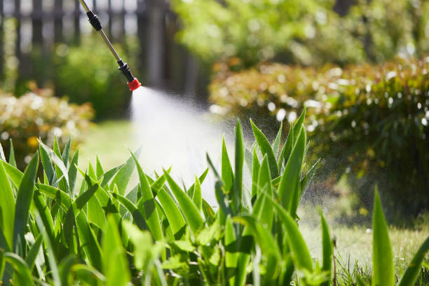 24/7 Emergency Mosquito Control experts in Rensselaer, NY